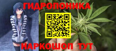 apvp Владимир