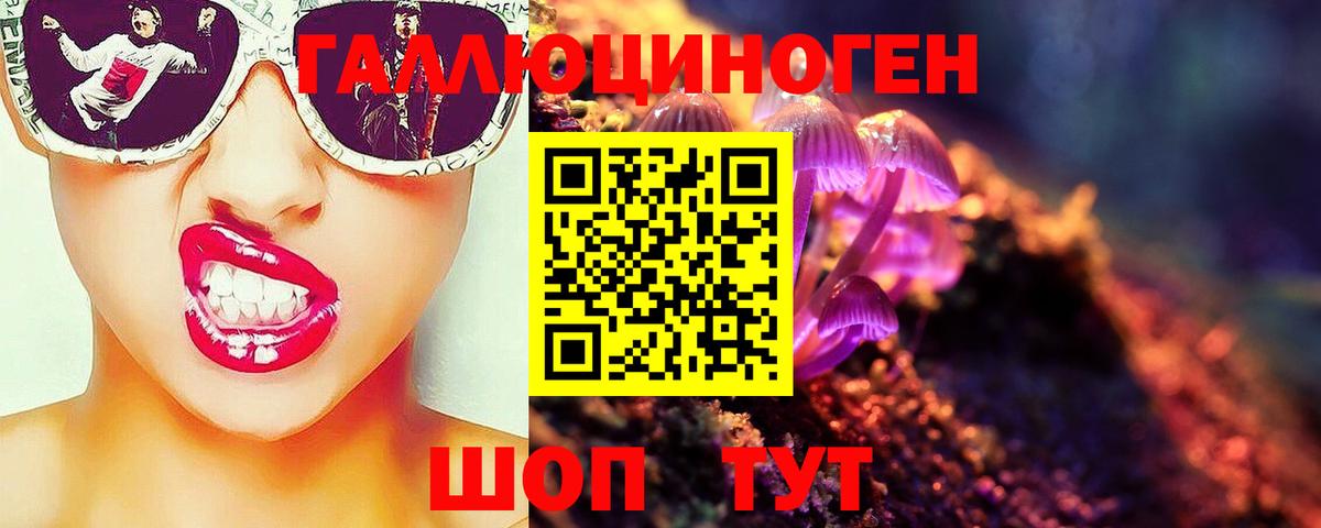 Псилоцибиновые грибы прущие грибы Казань