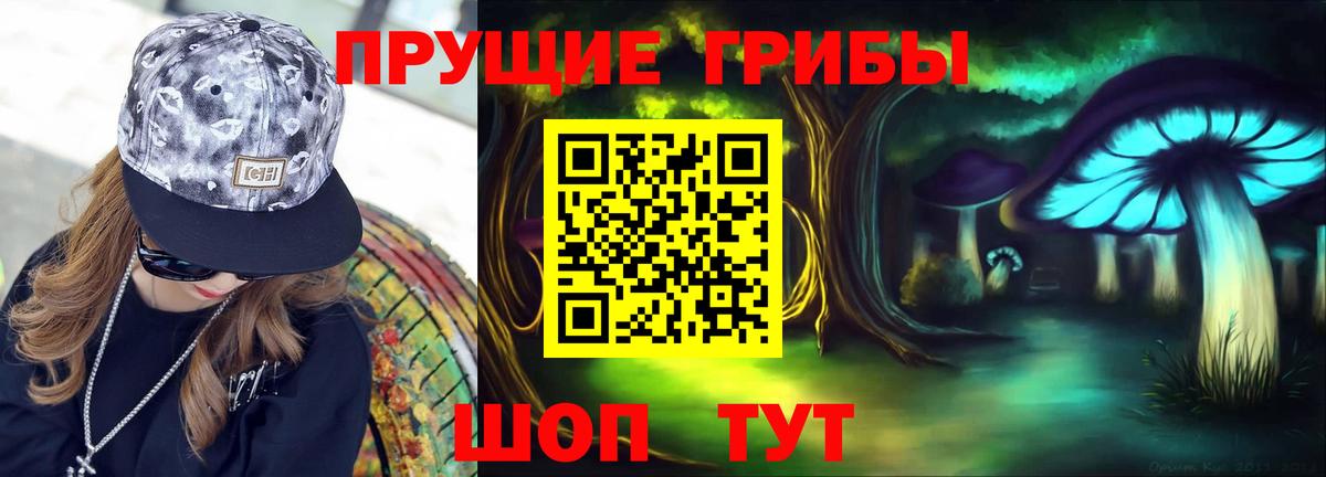 Галлюциногенные грибы мухоморы  где купить   Вход с VPN  Казань  Галлюциногенные грибы GOLDEN TEACHER 